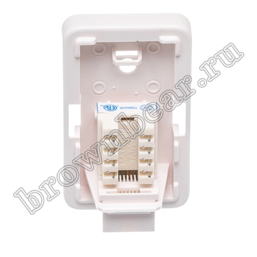 Розетка компьютерная накладная одинарная RJ-45, 8P8C, категория 5е, универсальная, PCnet  фото 6
