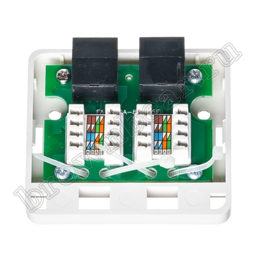 Розетка компьютерная накладная двойная RJ-45 категория 5е, тип KRONE, белая  фото 4