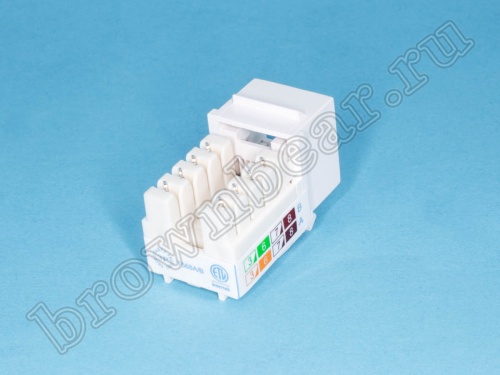 Модуль RJ-45 8P8C кат.6, Keystone, универсальный, компакт, PCnet  фото 3