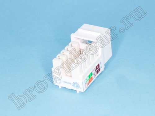 Модуль RJ-45 8P8C кат.5e, Keystone, универсальный, компакт, белый, PCnet  фото 3